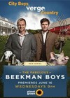 The Fabulous Beekman Boys (2010)2.jpg